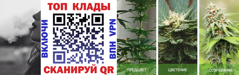 Виды наркоты Унеча АМФ  Меф  Codein  ГАШ  Конопля  COCAIN  Бутират 