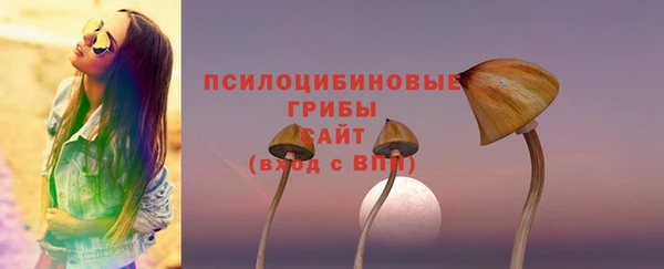 СК Аркадак