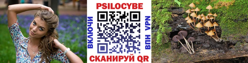 Псилоцибиновые грибы Psilocybine cubensis  Унеча 